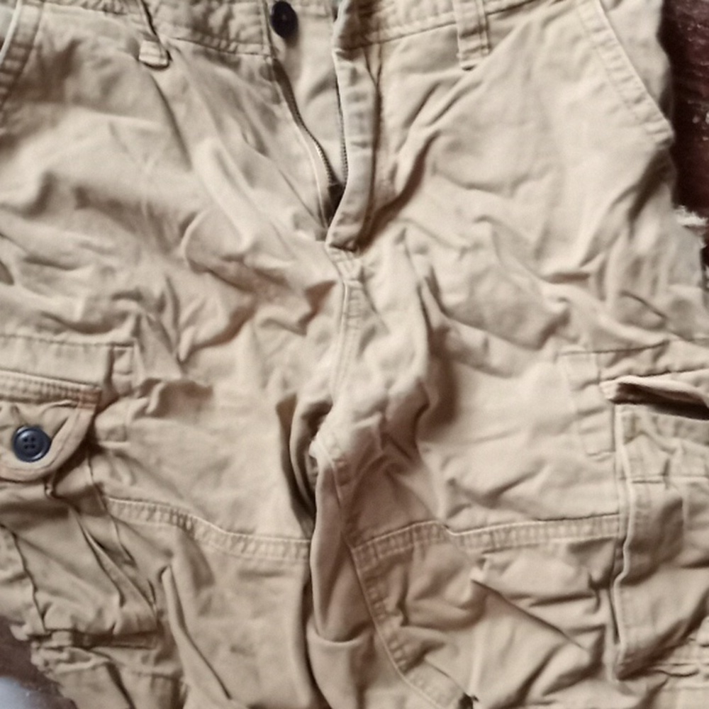 Aeropastle cargo shorts